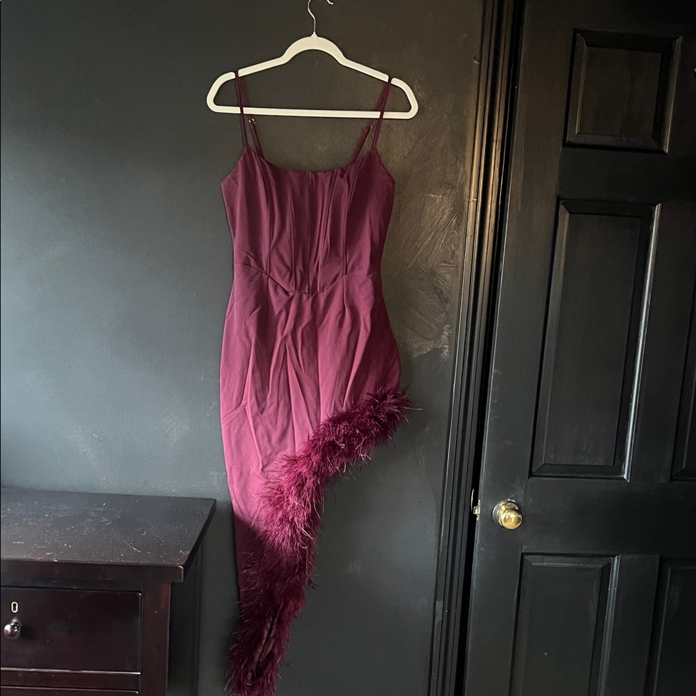 Chic Asymmetrical Plum Dress with Feather Detail